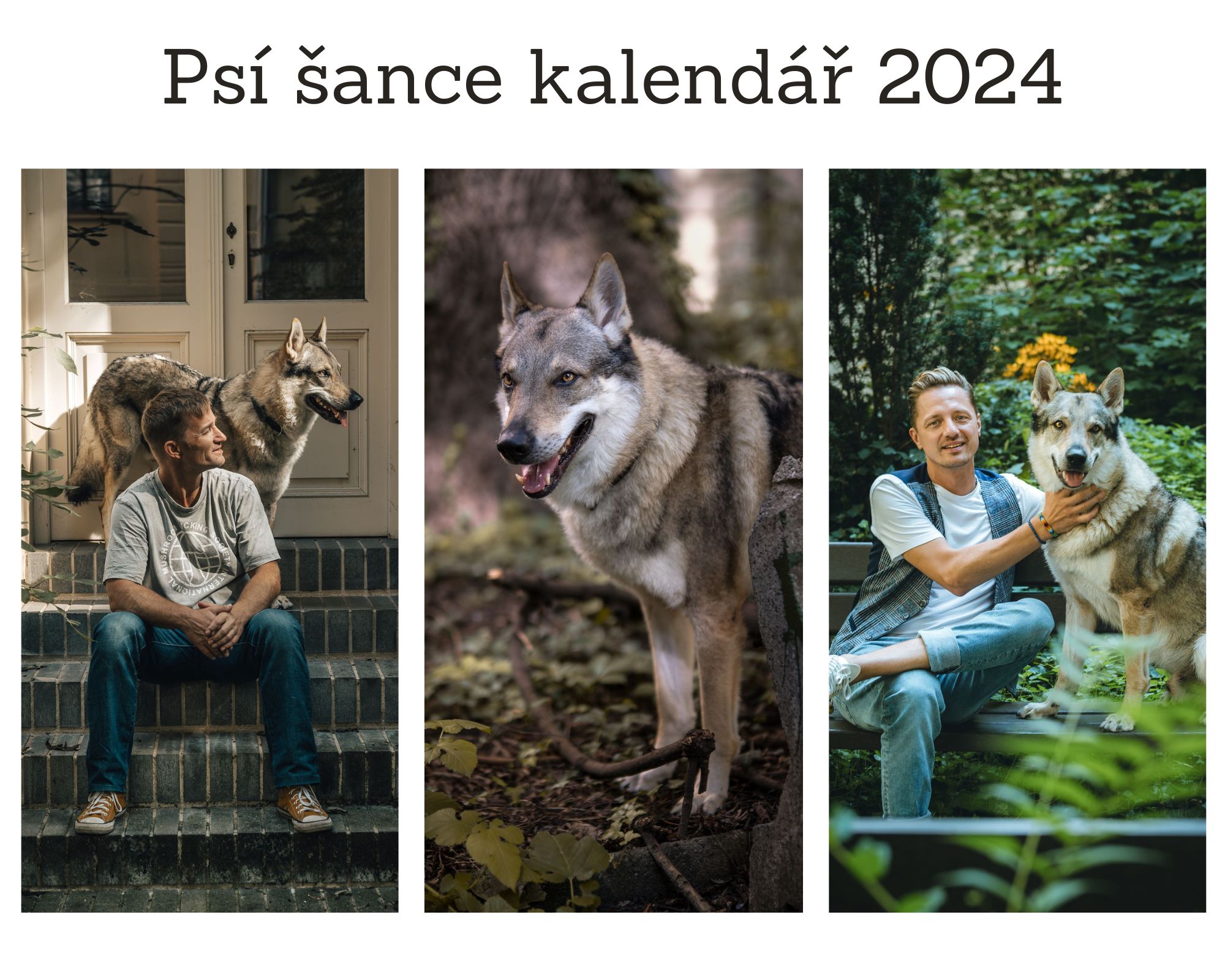 Jedinečný kalendář 2022(1)